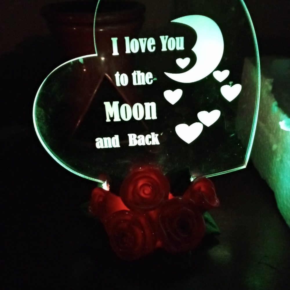 I Love You To The Moon And Back